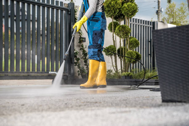 Best Soft Washing for Delicate Surfaces in Shelby, MT
